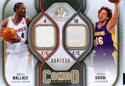 Authentic Ben Wallace & Pau Gasol Dual Game-Worn Jersey