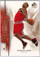 '08 Derrick Rose Rookie