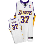 Authentic Ron Artest Jersey