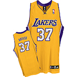 Authentic Ron Artest Jersey